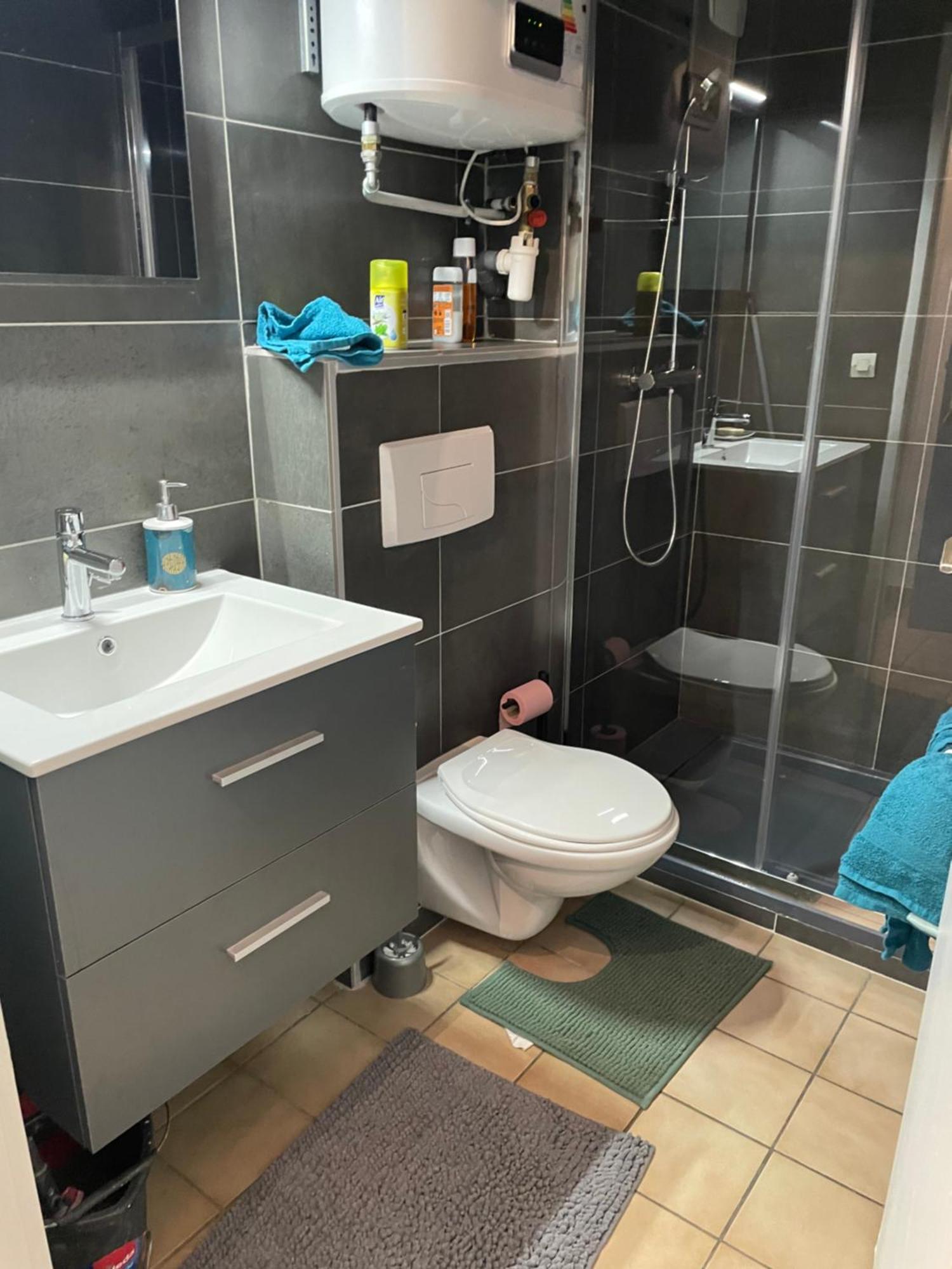 אלברטוויל Appartement Duplex T1 מראה חיצוני תמונה